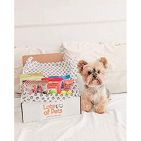 Lots of Pets Dog Party Box Teenie Meenie Dog (Small Dogs) Under 20 lbs.