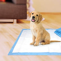 Wee-Wee Puppy Training Pee Pads 7-Count 22" x 23" Standard Size Pads for Dogs