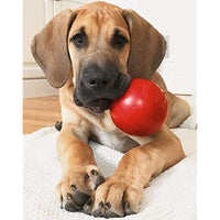 
              Jolly Pets Tug-n-Toss Heavy Duty Dog Toy Ball with Handle, 3 Inches/Mini, Red (403 RD)
            
