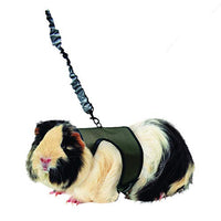
              Kaytee Comfort Harness & Stretchy Leash, Large
            