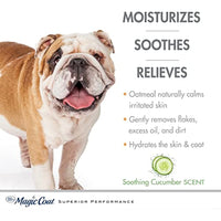 
              Four Paws Magic Coat Hypo-Allergenic Dog Shampoo Hypoallergenic Shampoo 16 Ounces (1 Count)
            