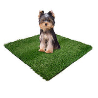 
              Four Paws Wee-Wee Dog Grass Replacement Small
            