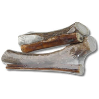 
              Bingo Pet Treats 564006 6-8-Inch Bingo Buck Antler Chews With Free 6-Inch Bully Stick, Large
            