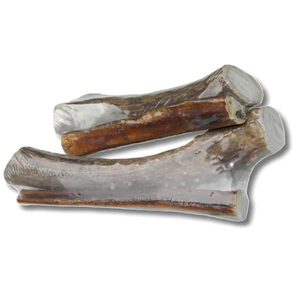 Bingo Pet Treats 564006 6-8-Inch Bingo Buck Antler Chews With Free 6-Inch Bully Stick, Large