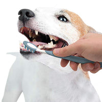Nylabone Advanced Oral Care Small Senior Dog Dental Kit