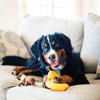 
              ZippyPaws - Zoo Friends Burrow, Interactive Squeaky Hide and Seek Plush Dog Toy - Monkey �n Banana
            