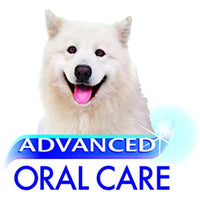 
              Nylabone Advanced Oral Care Natural Dog Dental Kit Peanut Flavor 2.5 oz.
            