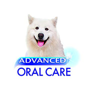 
              Nylabone Advanced Oral Care Small Senior Dog Dental Kit
            