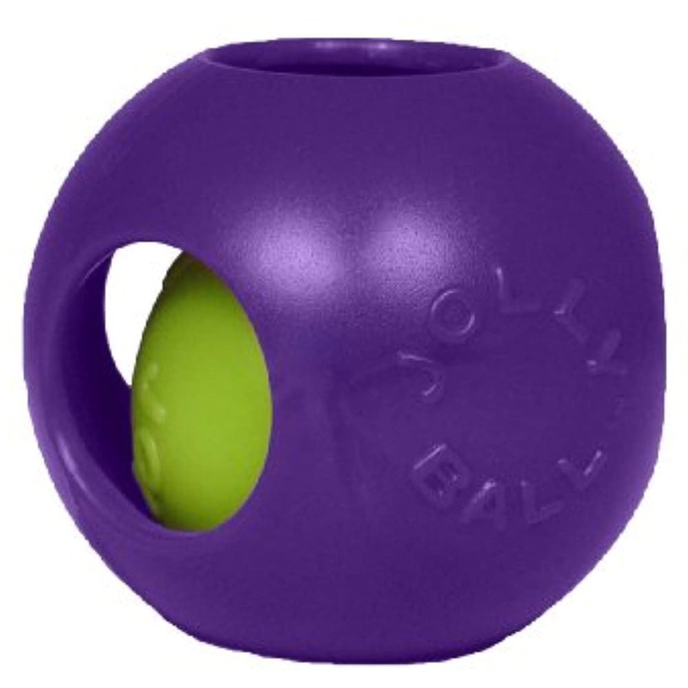 Jolly Pets Teaser Ball Dog Toy, Small/4.5 Inches, Purple