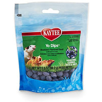 Kaytee Blueberry Flavored Ygurt Dipped Hamsters And Gerbil Treat