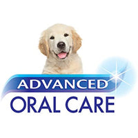 Nylabone Advanced Oral Care Puppy Dog Dental Kit