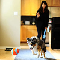 
              ChuckIt! Indoor Ball Dog Fetch Toy For Medium To Large Dogs, Orange/Blue One Size Only
            