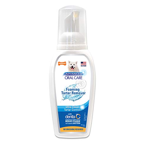 Nylabone Advanced Oral Care Foaming Tartar Remover for Dogs, 4 oz.