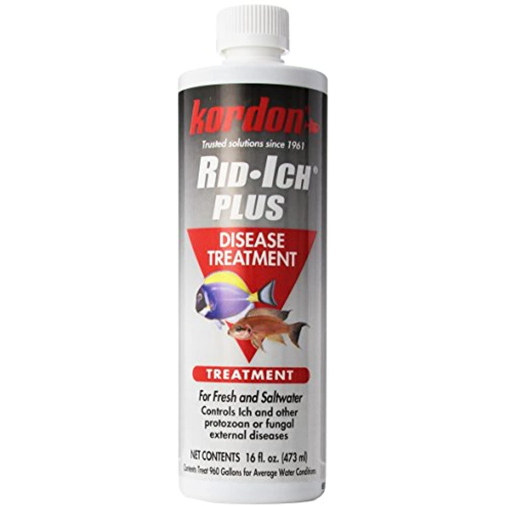 Kordon Rid Ich Plus #37656 - 16oz.