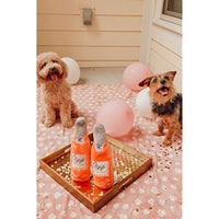 
              Zippy Paws - Happy Hour Crusherz Drink Themed Crunchy Water Bottle Dog Toy - Rosé
            