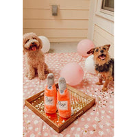 Zippy Paws - Happy Hour Crusherz Drink Themed Crunchy Water Bottle Dog Toy - Rosé