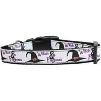 Mirage Pet Product Witch and Famous Nylon Dog Collar Medium