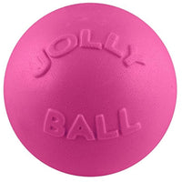 
              Jolly Pets Bounce-N-Play Ball
            