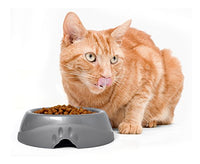 
              Petmate Dosckocil DDS23077 1-Cup Ultra Lightweight Dog Dish, Small, Assorted Color
            
