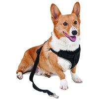 Petmate 11477 The Ultimate Travel Harness for Pets, Medium, Black