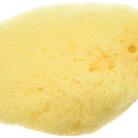 Zoo Med All Natural Hermit Crab Sea Sponge