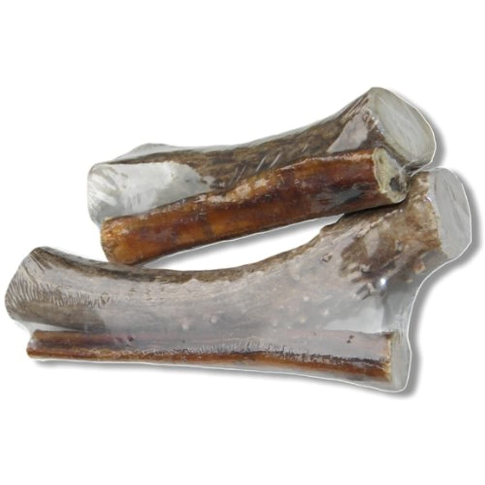 Bingo Pet Treats 564001 4-6-Inch Bingo Buck Antler Chews Bully Stick With Free 6-Inch Bully Stick, Small