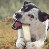 
              Cadet Smart Hide Easily Digestible Rawhide Dog Treats 4"
            
