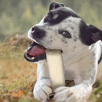 Cadet Smart Hide Easily Digestible Rawhide Dog Treats 4"