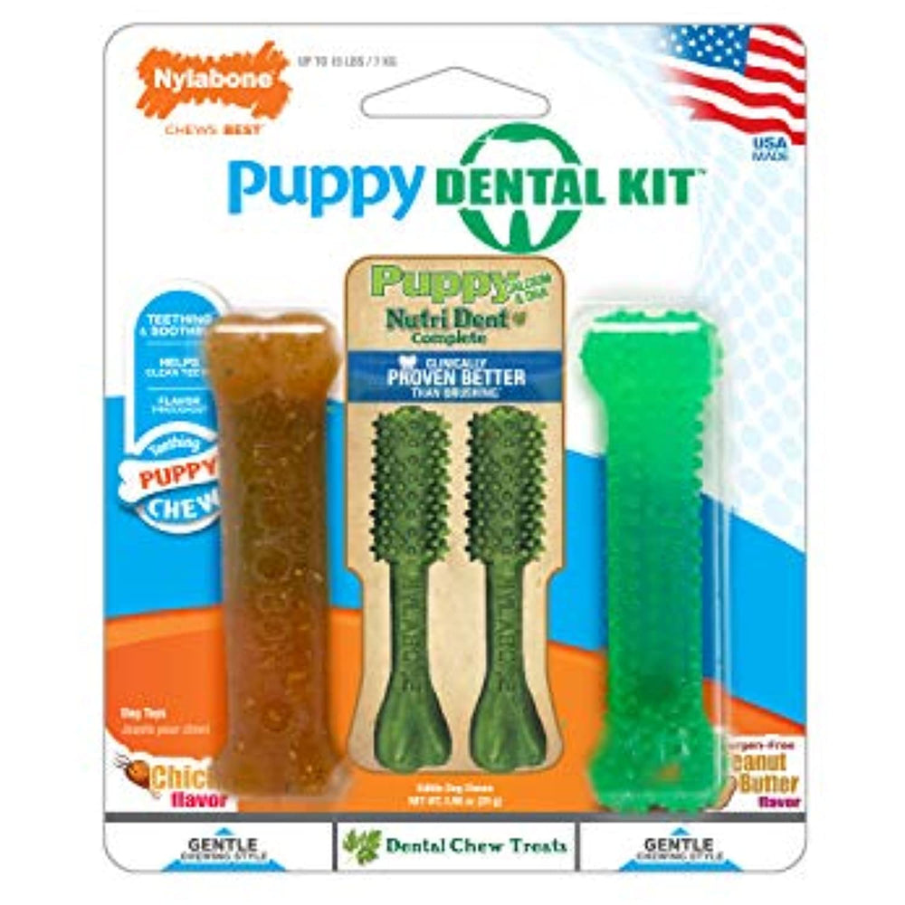 Nylabone Dental Kit for Small Puppies