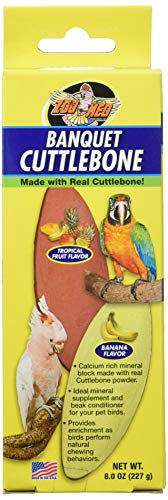 Zoo Med Banquet Cuttlebone - Large,Black