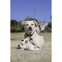 
              Multipet Plush Dog Toy, Lambchop, 10", White/Tan
            