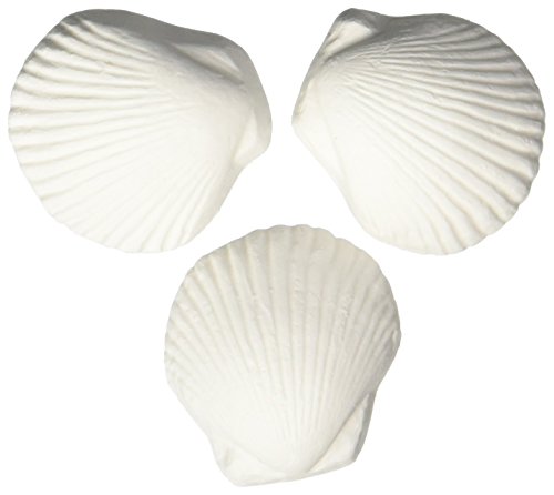 Weco Wonder Shell Natural Minerals (3 Pack), Small
