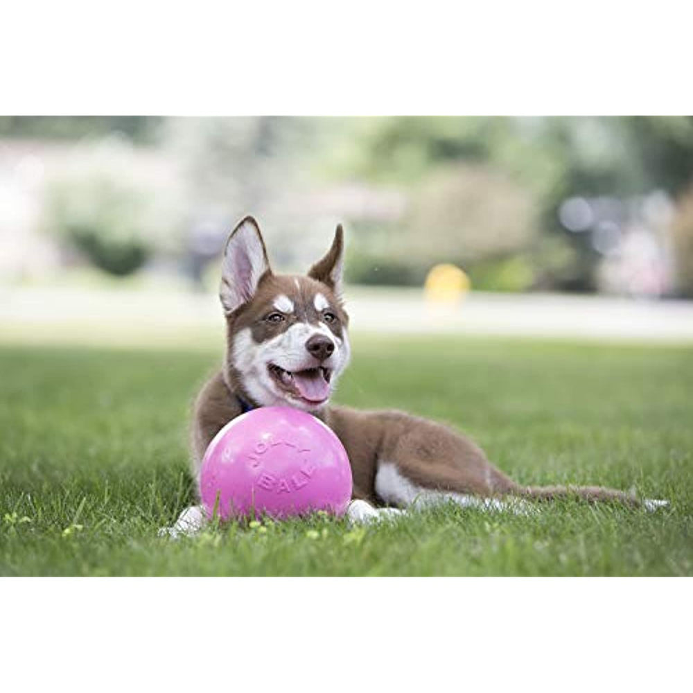 Jolly Pets Toys 881155 Jolly Bounce-N-Play Dog Toy, 4.5-Inch, Pink