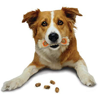 
              Nylabone Power Chew Knuckle Bone & Pop-in Treat Toy Combo Chicken Flavor Medium/Wolf - Up to 35 lbs.
            