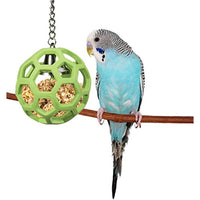JW Pet Company Activitoys Hol-ee Roller Bird Toy ( Color May Vary )