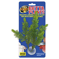 
              Zoo Med Laboratories AZMBP23 Betta Plant Salvia
            