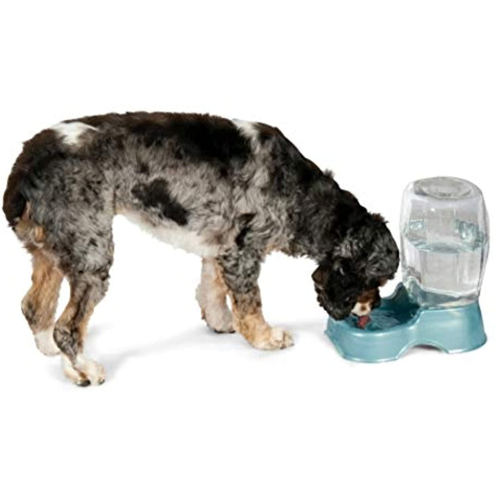 Petmate Pet Cafe Waterer Cat and Dog Water Dispenser Pearl Silver Small