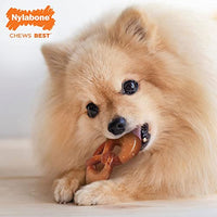 
              Nylabone Power Chew Pretzel Dog Chew Toy Pretzel Bacon & Peanut Butter Small/Regular (1 Count)
            