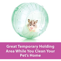
              Kaytee Dwarf Hamster Mini Run-About Exercise Ball, Color May Vary
            