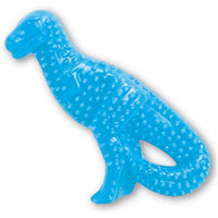 
              Nylabone Puppy Dental Dinosaur Chew Toy for Teething Puppies Chicken Flavor Small/Regular - Up to 25 lbs.
            