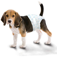 
              Four Paws Wee-Wee Disposable Dog Diapers 12 Count Medium
            