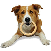 
              Nylabone Ring Power Chew Dog Toy Ring Original Large/Giant (1 Count)
            