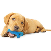 Nylabone Puppy Dental Dinosaur Chew Toy for Teething Puppies Chicken Flavor Small/Regular - Up to 25 lbs.