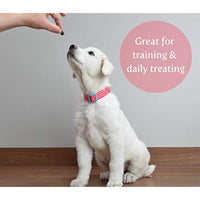 
              Exclusively Dog Training Treats, Cheese Flavor
            