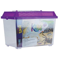Lee's Kritter Keeper, Rectangle with Lid - Small, Assorted Colors