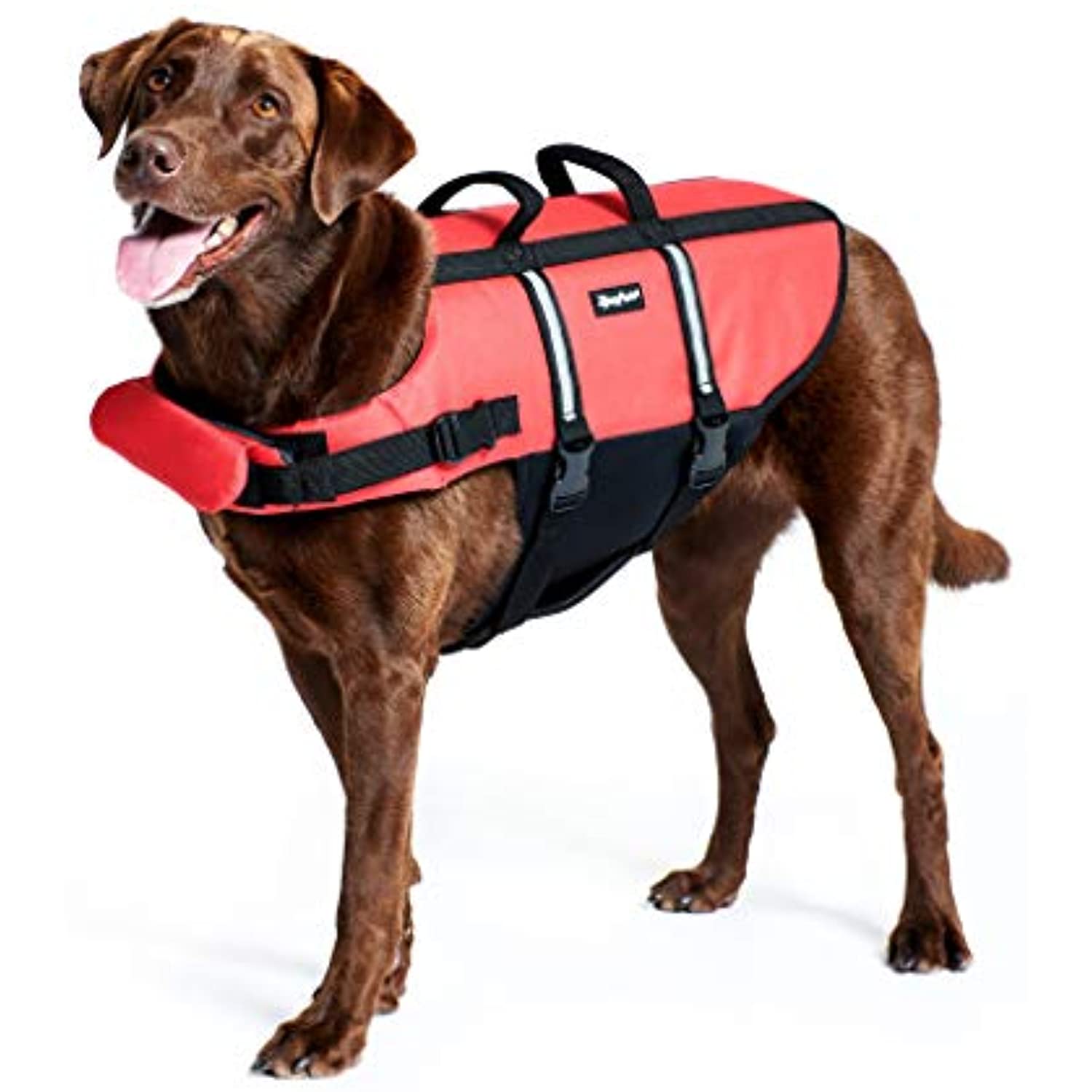 Extra large deals dog life jacket