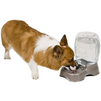Petmate Pet Cafe Waterer Cat and Dog Water Dispenser Pearl Silver Small