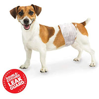 
              Four Paws Wee-Wee Disposable Male Dog Wraps 12 Count X-Small / Small
            