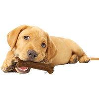 
              Nylabone Just for Puppies Wolf Chicken Flavored Bone Puppy Dog Teething Chew Toy
            