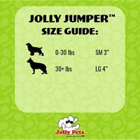 Jolly Pets Jumper Dog Toy Balls, Large, Glow in The Dark